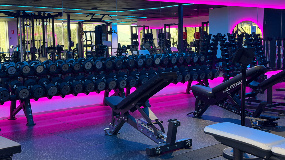 XL dumbbell racks and adjustable benches under pink and blue lighting