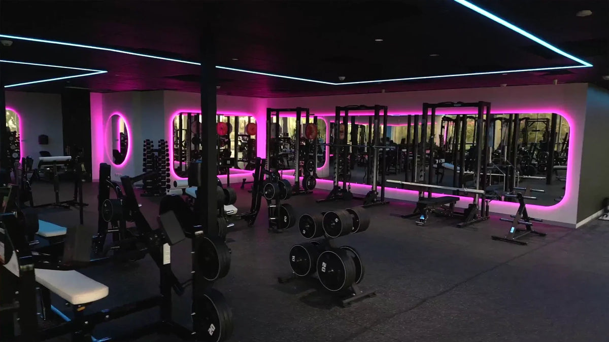 XL Fitness training equipment and signature neon lighting